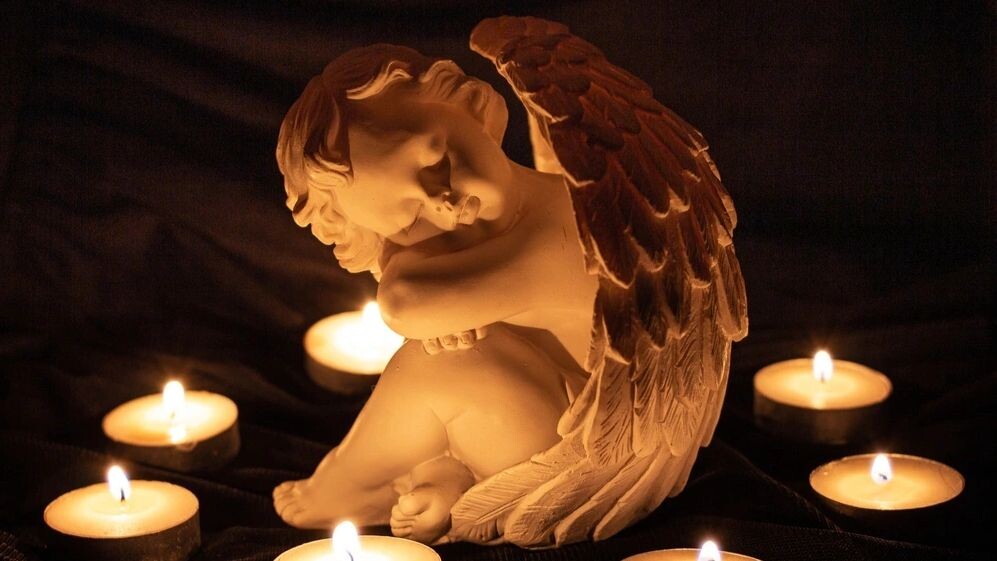    Фото: cherryyblossom/Shutterstock/Fotodom