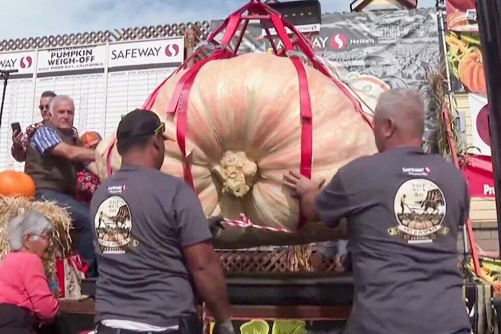 Кадр из видео / ABC