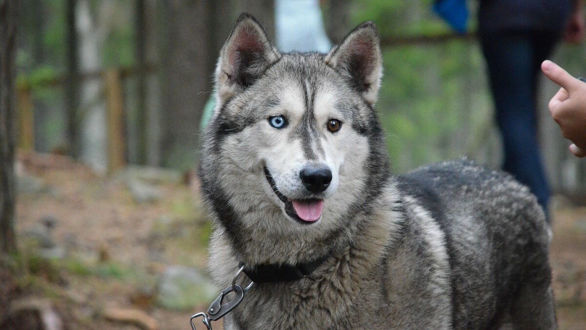     Источник: 1MI