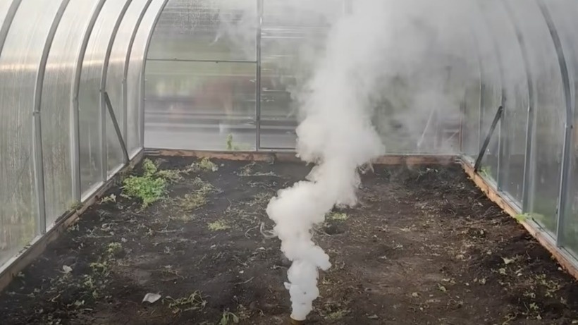 Сжигаю табачную шашку в теплице осенью. Вредители не появятся до июня