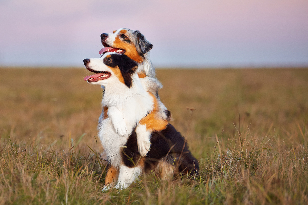 Вот так у нас делать нельзя