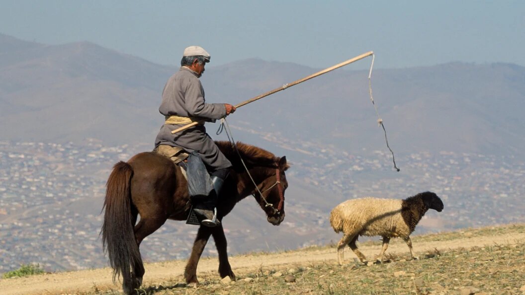    ФОТО: КОЛЛАЖ ЦАРЬГРАДА