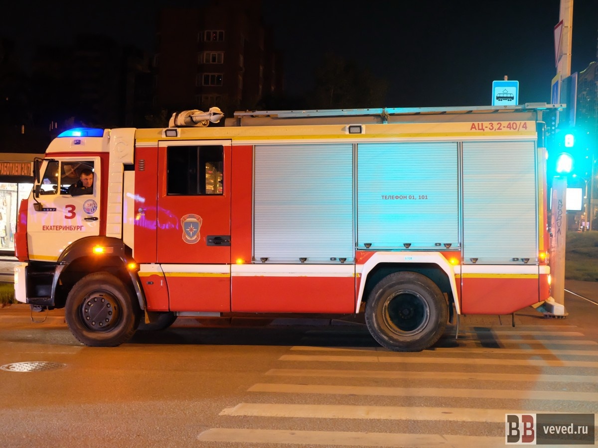     Фото: Владислав Постников / Вечерние Ведомости