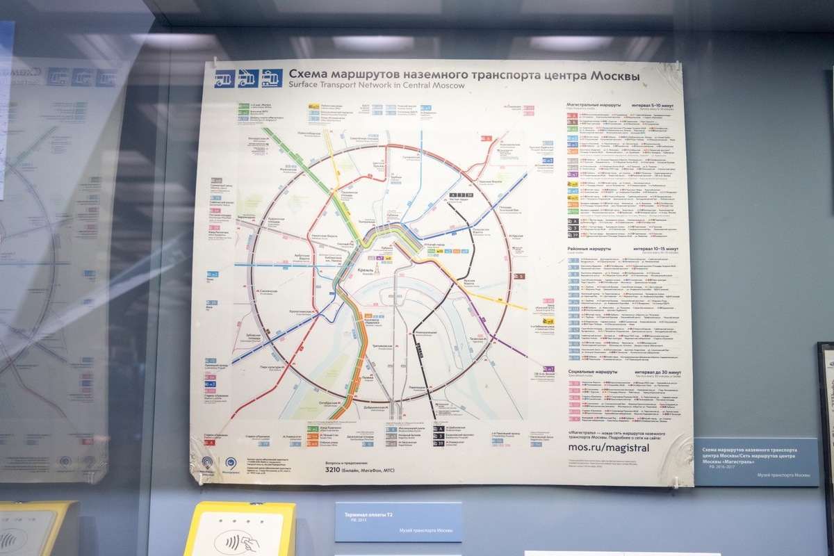 Фото: Юлия Федотова