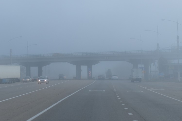    Фото: «Кубань Информ»