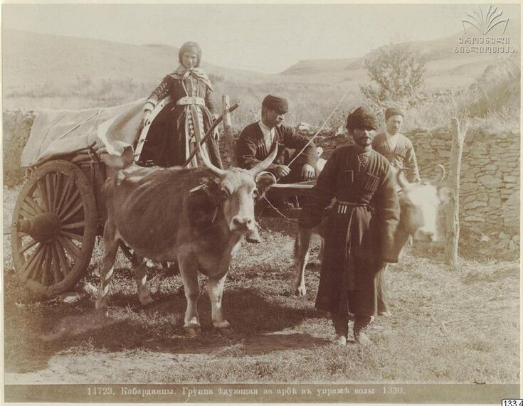 Случайная картинка из открытого доступа