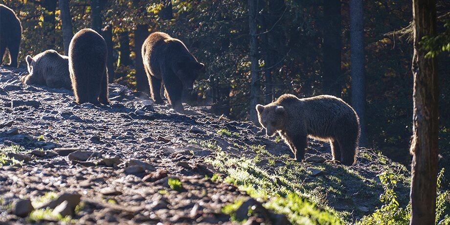    Фото: 123RF.com/olegd