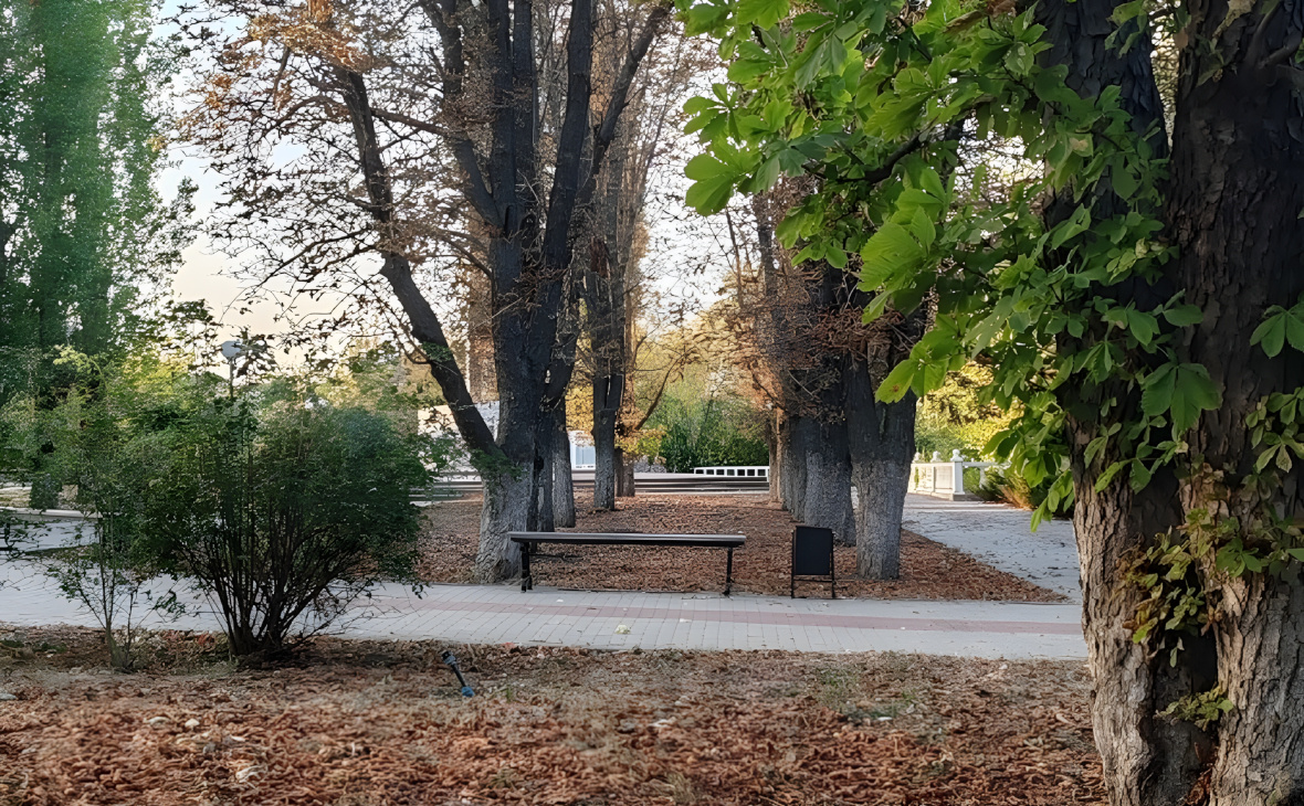 Фото: РБК Черноземье