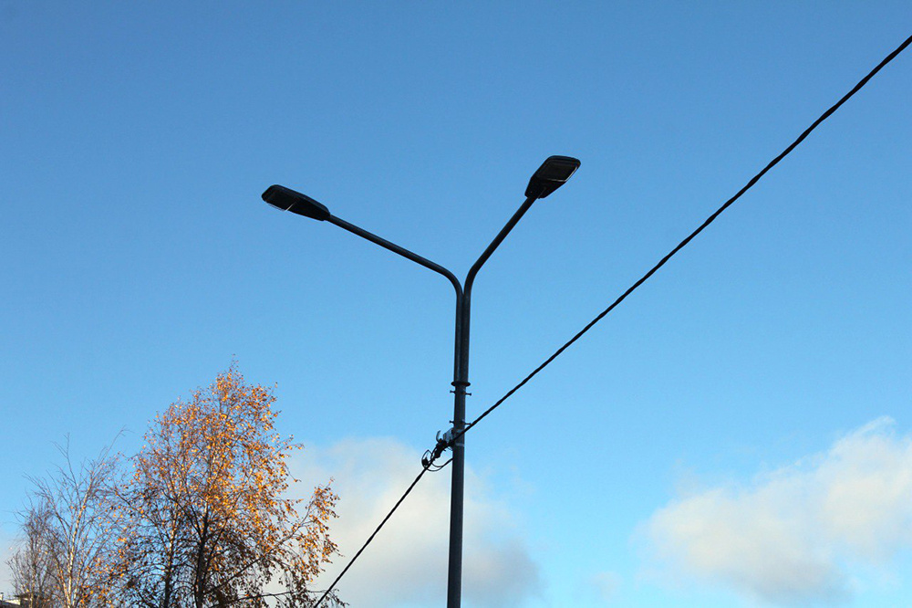    Фото: пресс-служба Петросовета