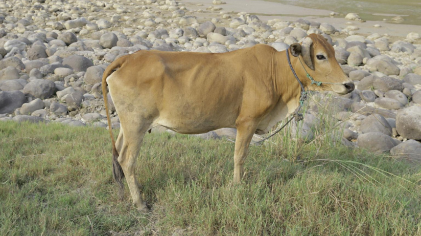    Фото: www.globallookpress.com/ Donal Husni