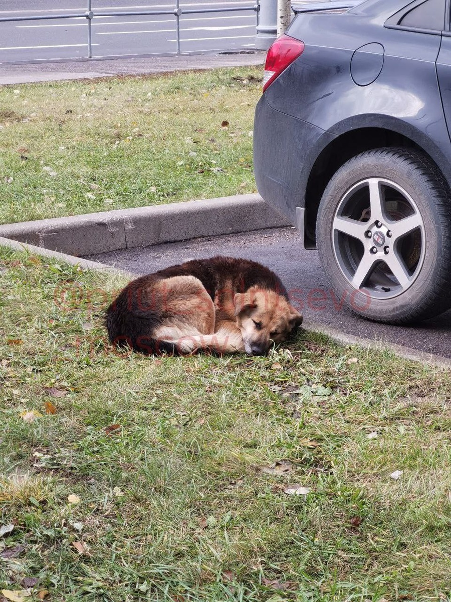 Страшно, когда некуда идти