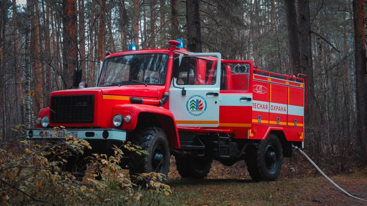    Количество лесных пожаров в Нижегородской области в этом году снизилось на треть