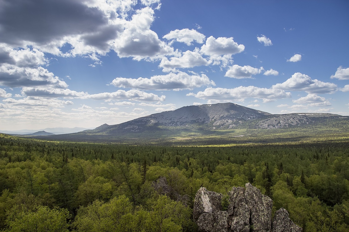 Источник: wikipedia.org Автор: Азамат ТимербаевCC BY-SA 4.0