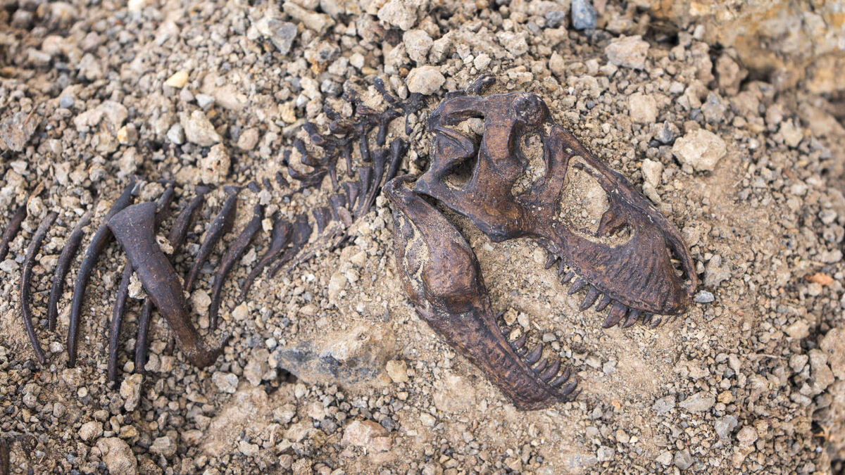     Фото: Ton Ponchai/Shutterstock/FOTODOM