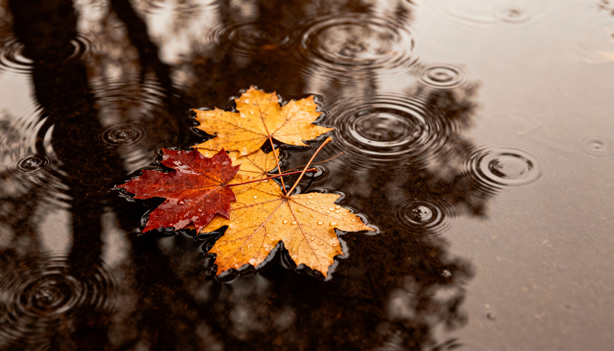 Источник: ru.freepik.com