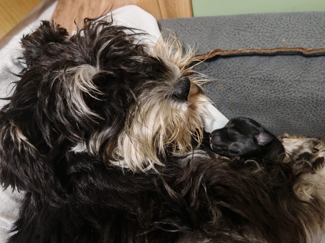 Нежа с детишками