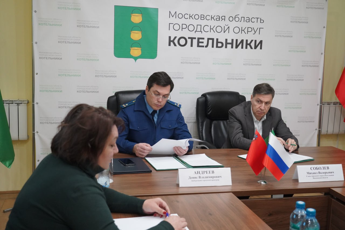   Фото: Администрация городского округа Котельники, источник: kotelniki.ru
