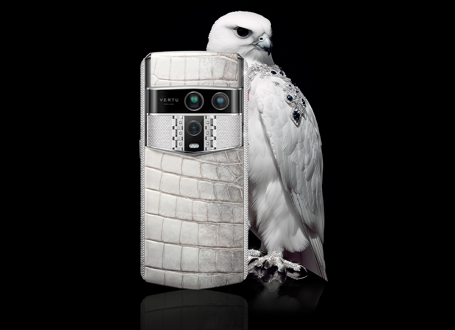 Иллюстрация: Vertu  📷
