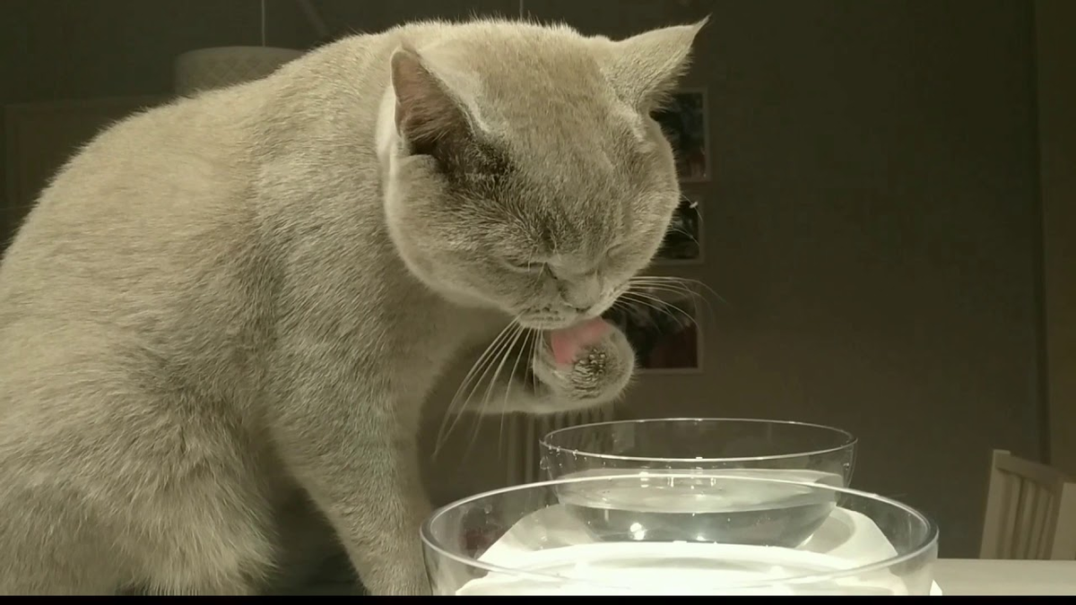 Яндекс.Картинки