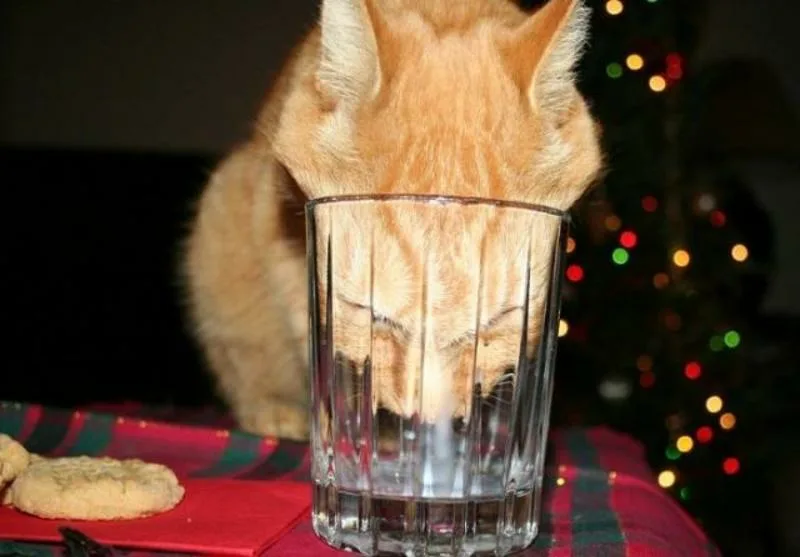 Яндекс.Картинки