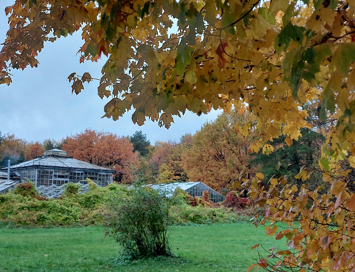 Старая Фондовая оранжерея