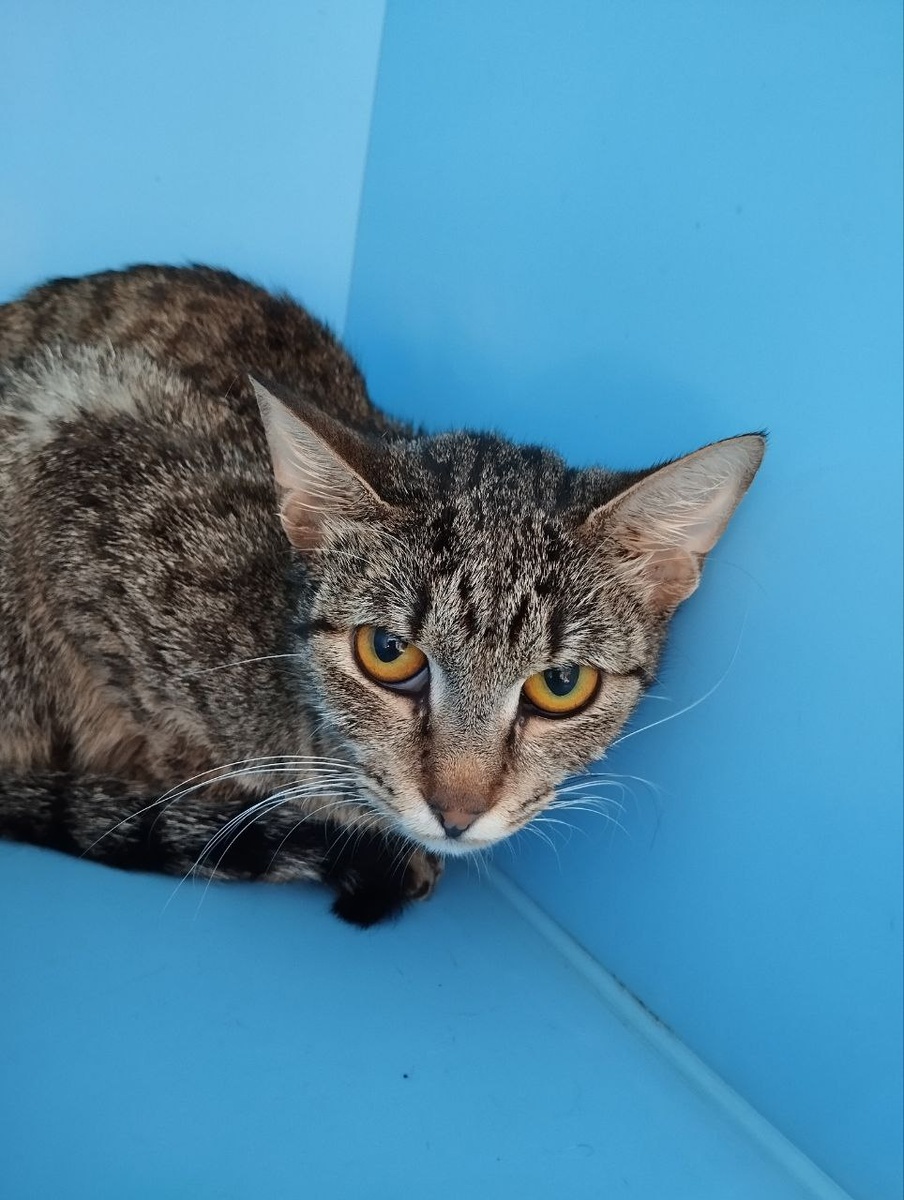 В Зооцентре было страшно