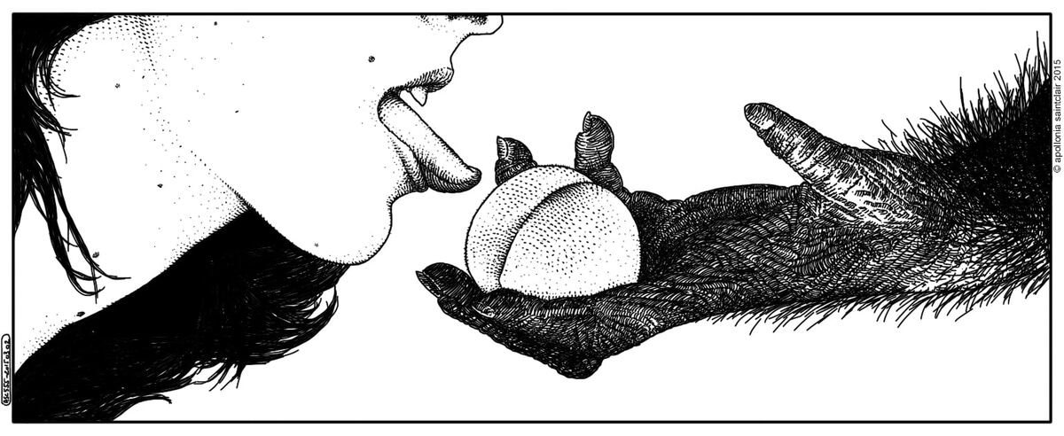 ГРАФИЧЕСКАЯ РАБОТА АПОЛЛОНИИ СЕНТКЛЕР / Apollonia Saintclair / Приручение Мадлен / Женщина и обезьяна