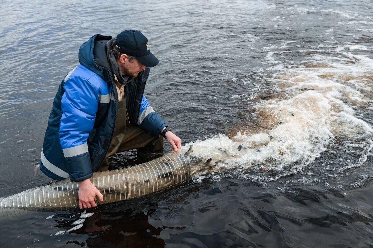    Фото: "Республика"/ Оксана Кудряшова