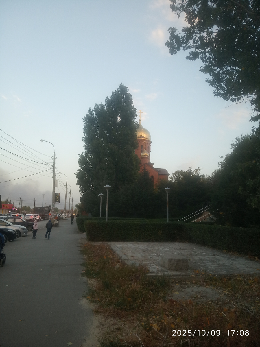 Наши на прогулке