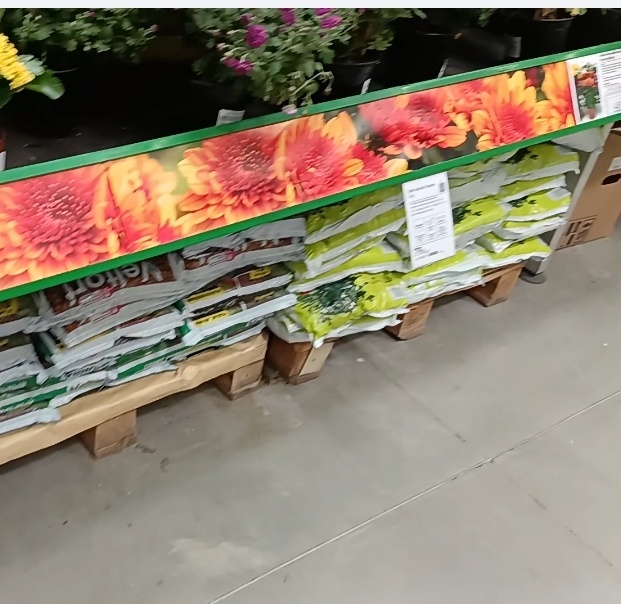 Грунт для каждого цветка свой