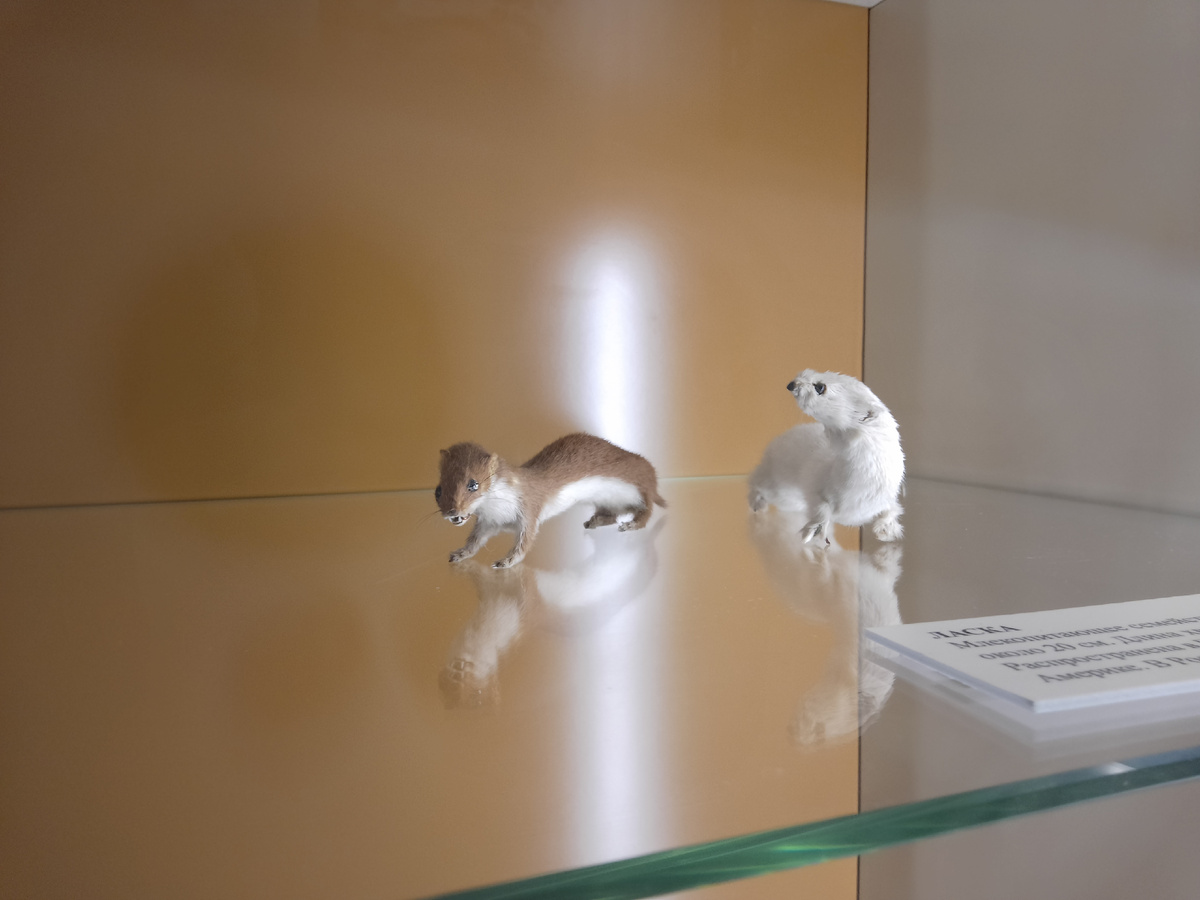 Качественно или нет сами разбирайтесь, я не эксперт