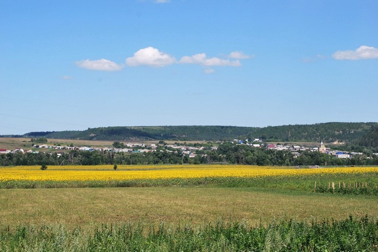 Село Никулино Никулинской волости Сызранского уезда Симбирской губернии. Более 100 дворов около 700 жителей. Никулино сегодня