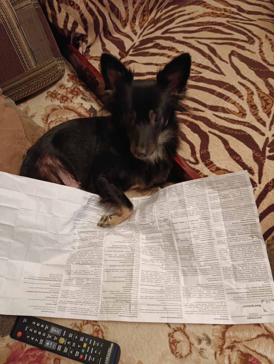 Мы ещё читаем, и телевизор переключаем! 