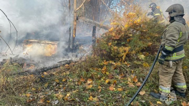 Фото: ГУ МЧС по Ленинградской области