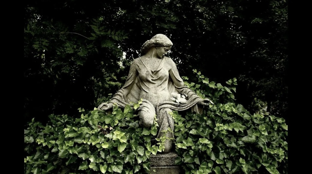 Фото из Интернета 