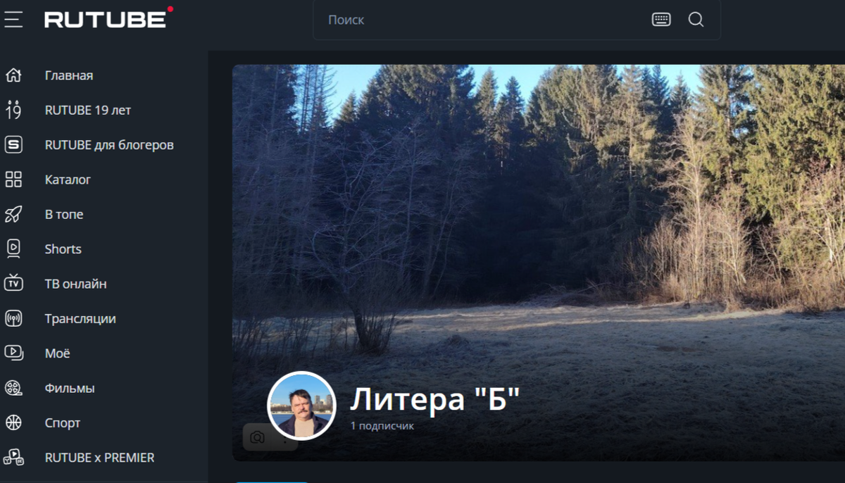 фрагмент скриншота с компьютера автора (не является рекламой)