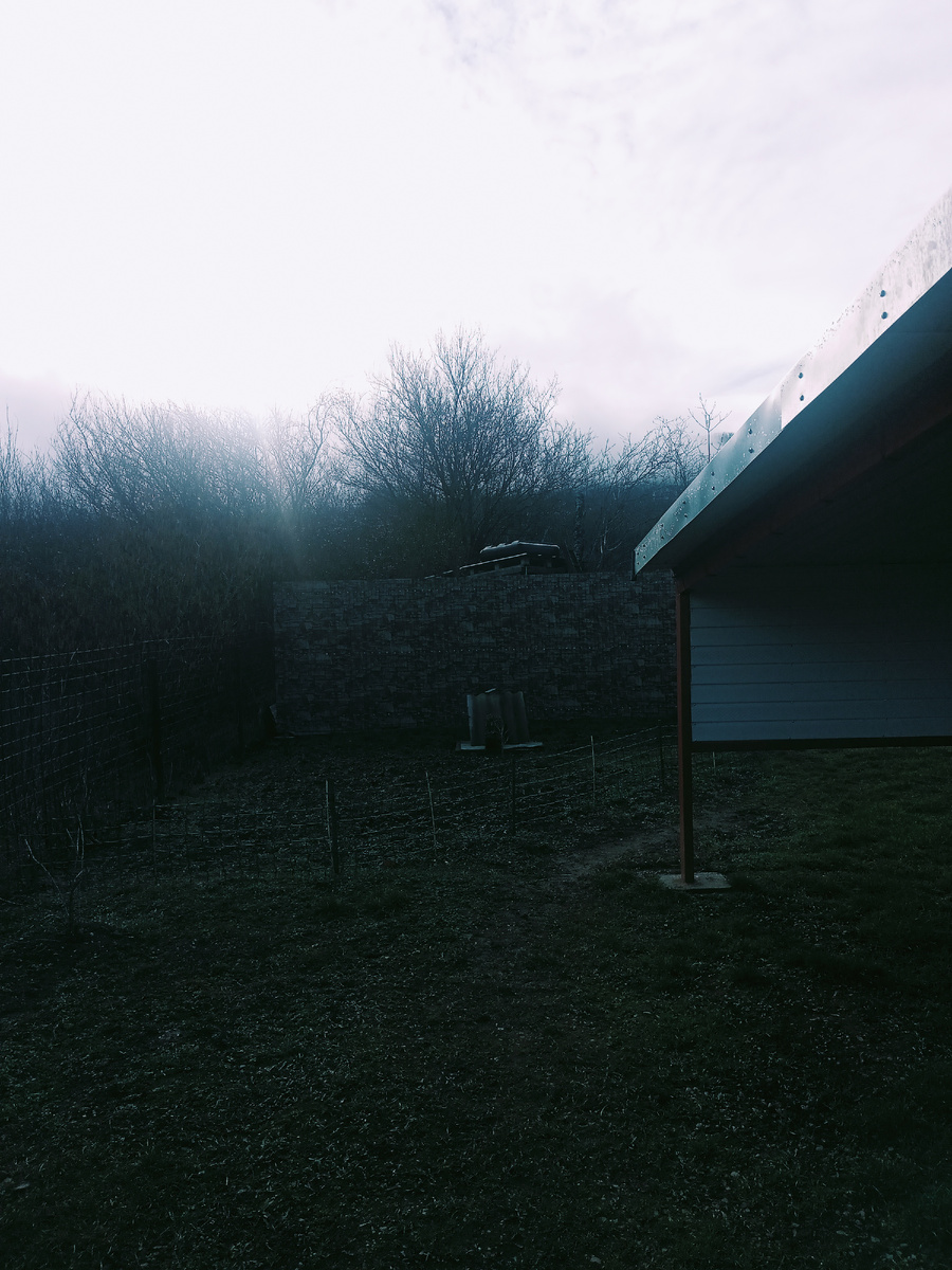 Фото автора. Вот такая она, зима наша...