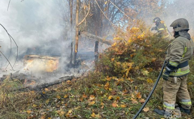    © Пресс-служба ГУ МЧС по Ленинградской области