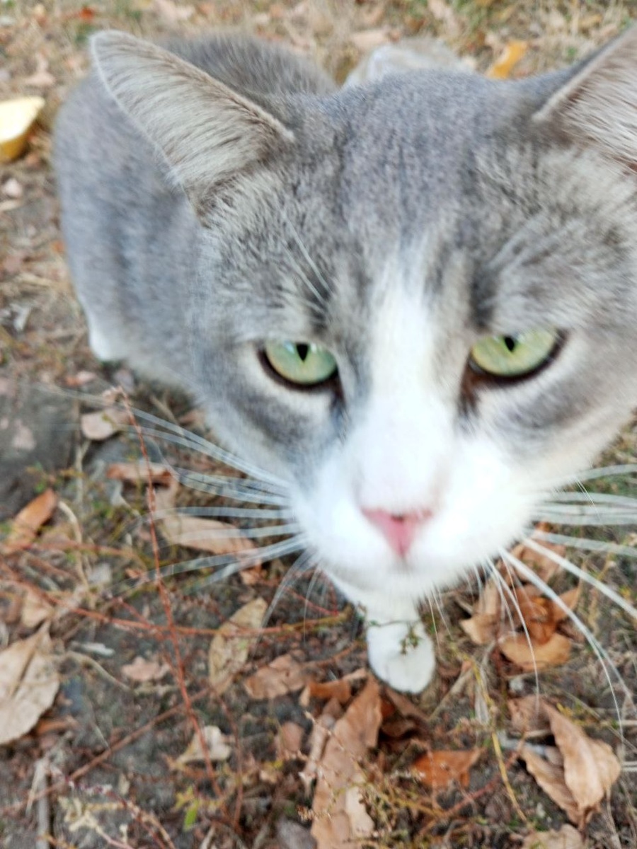 Доброе утро!