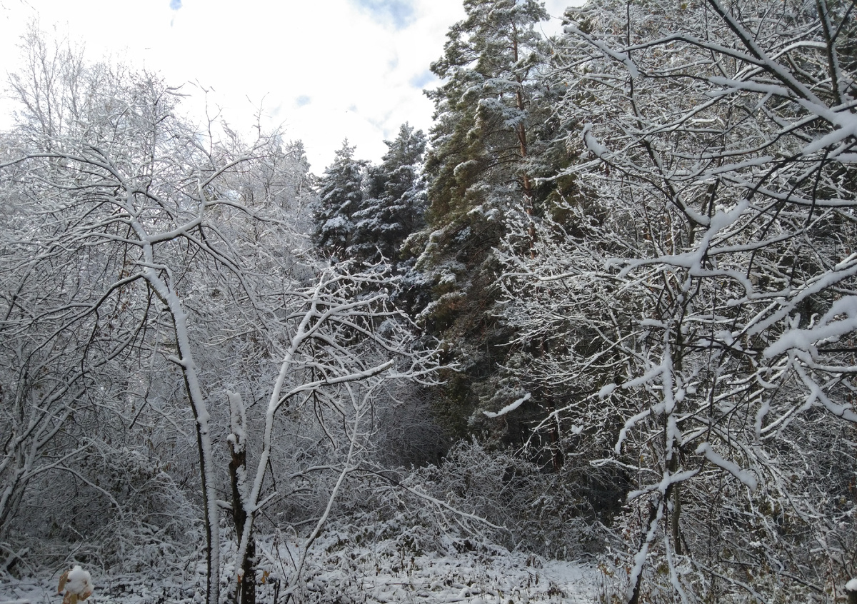 А всё таки, как же красиво😍😍😍♥️