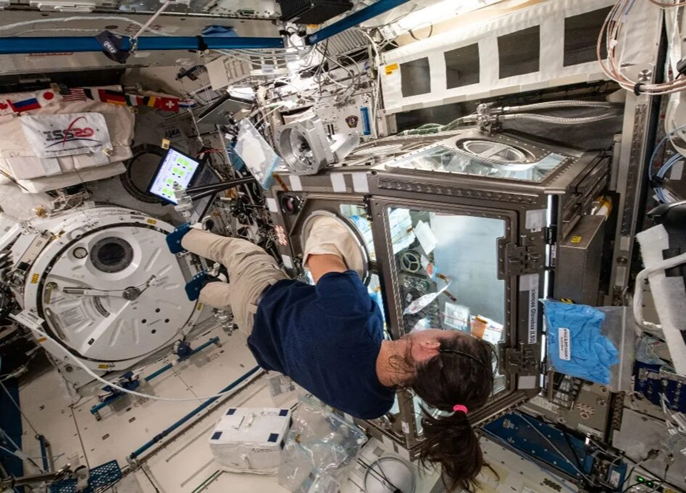 Астронавт работает в перчаточном боксе LSG в ЭМ Kibo. Фото: spacenews.com