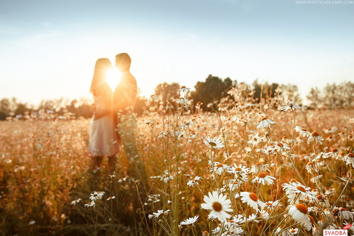 Изображение из открытых источников