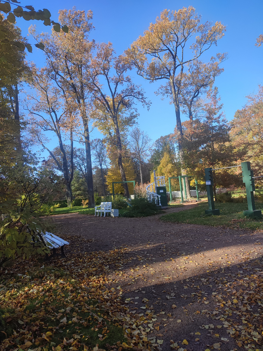 Александрия парк