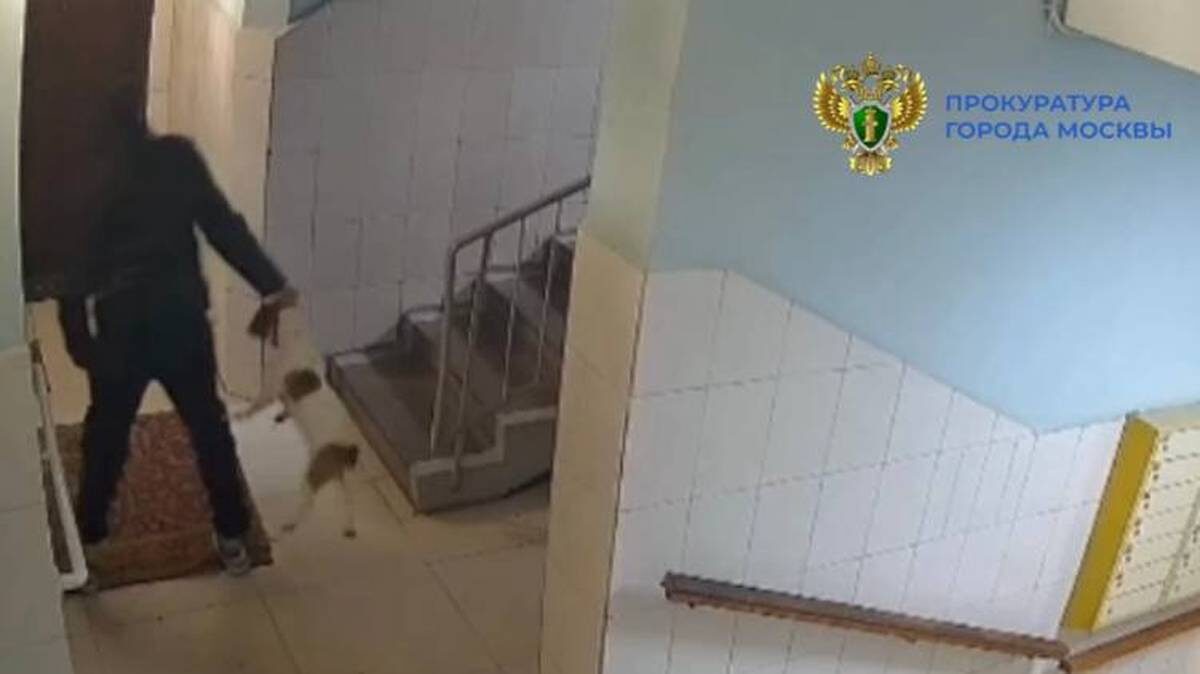    Фото: Telegram / Прокуратура Москвы