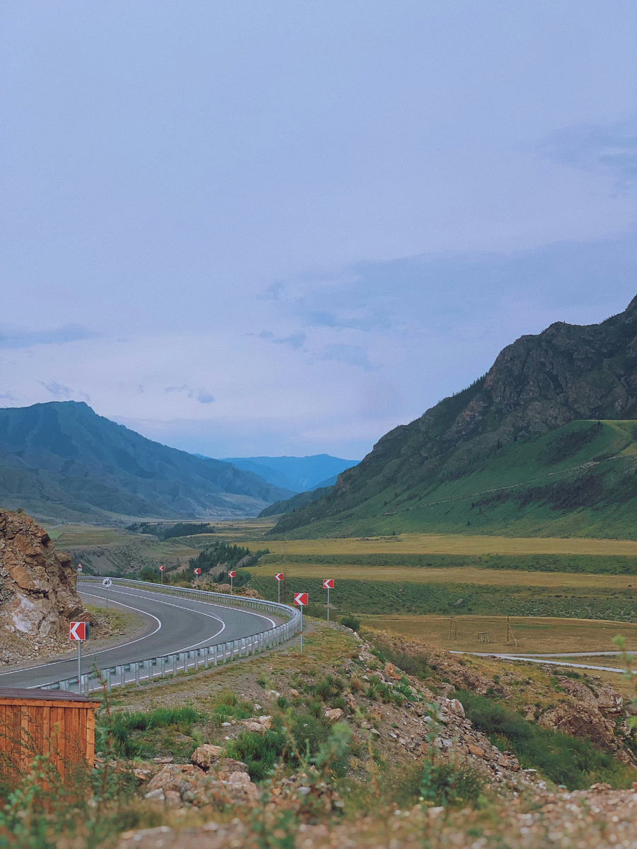 Фото из сети Интернет - Unsplash - Сергей Чуприн