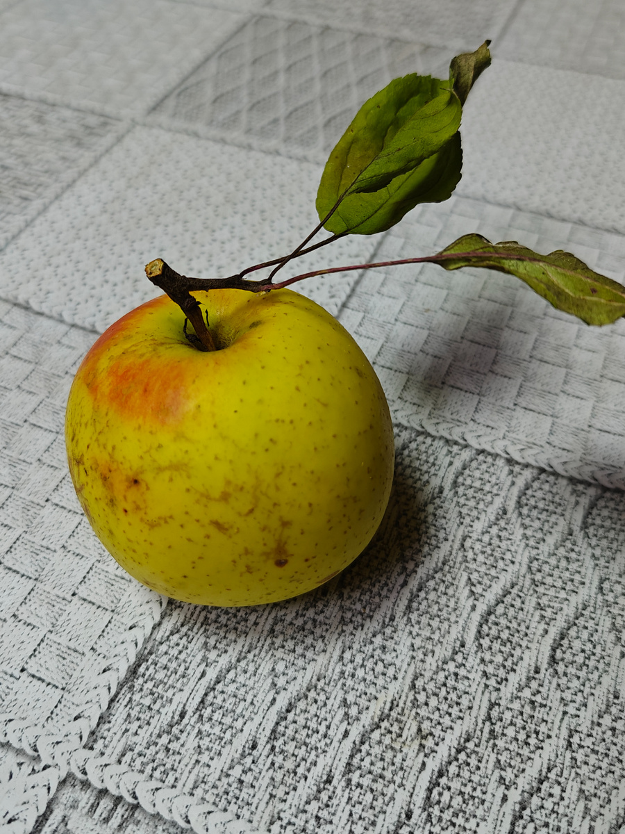 Попытка натюрморта, яблоко было красивое, с листиками, а на фотографии некрасиво... 