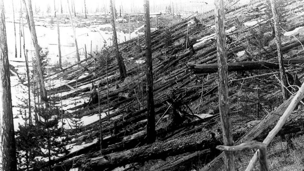 Поваленный лес в районе Тунгусской катастрофы. Так выглядела тайга после взрыва: деревья повалены в одном направлении от эпицентра, словно спички. Эта фотография сделана экспедицией Леонида Кулика в 1927 году