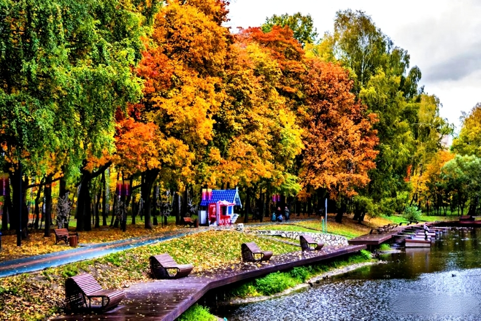 Все краски осени на "Ивановских прудах" 