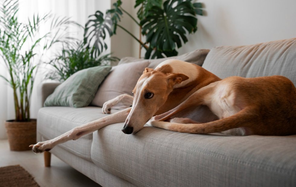 Фото с сайта: freepik.com