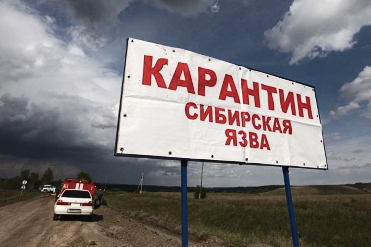 Фото: prodmagazin.ru